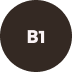 Vitamin B1