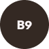 Vitamin B9