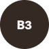 Vitamin B3