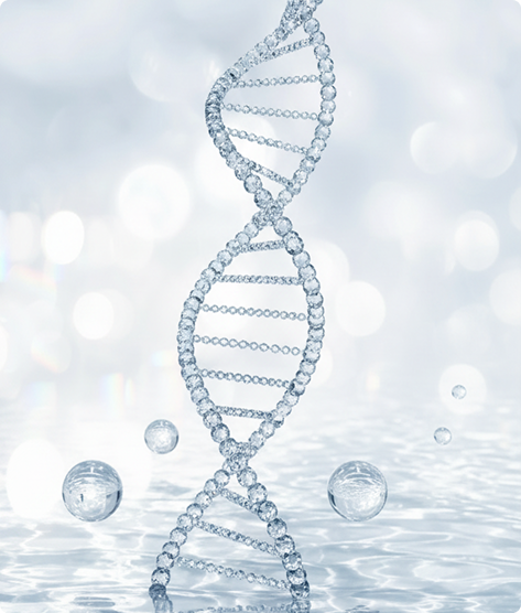 Hydrolysed Type 1 Norwegian Salmon Collagen Peptide